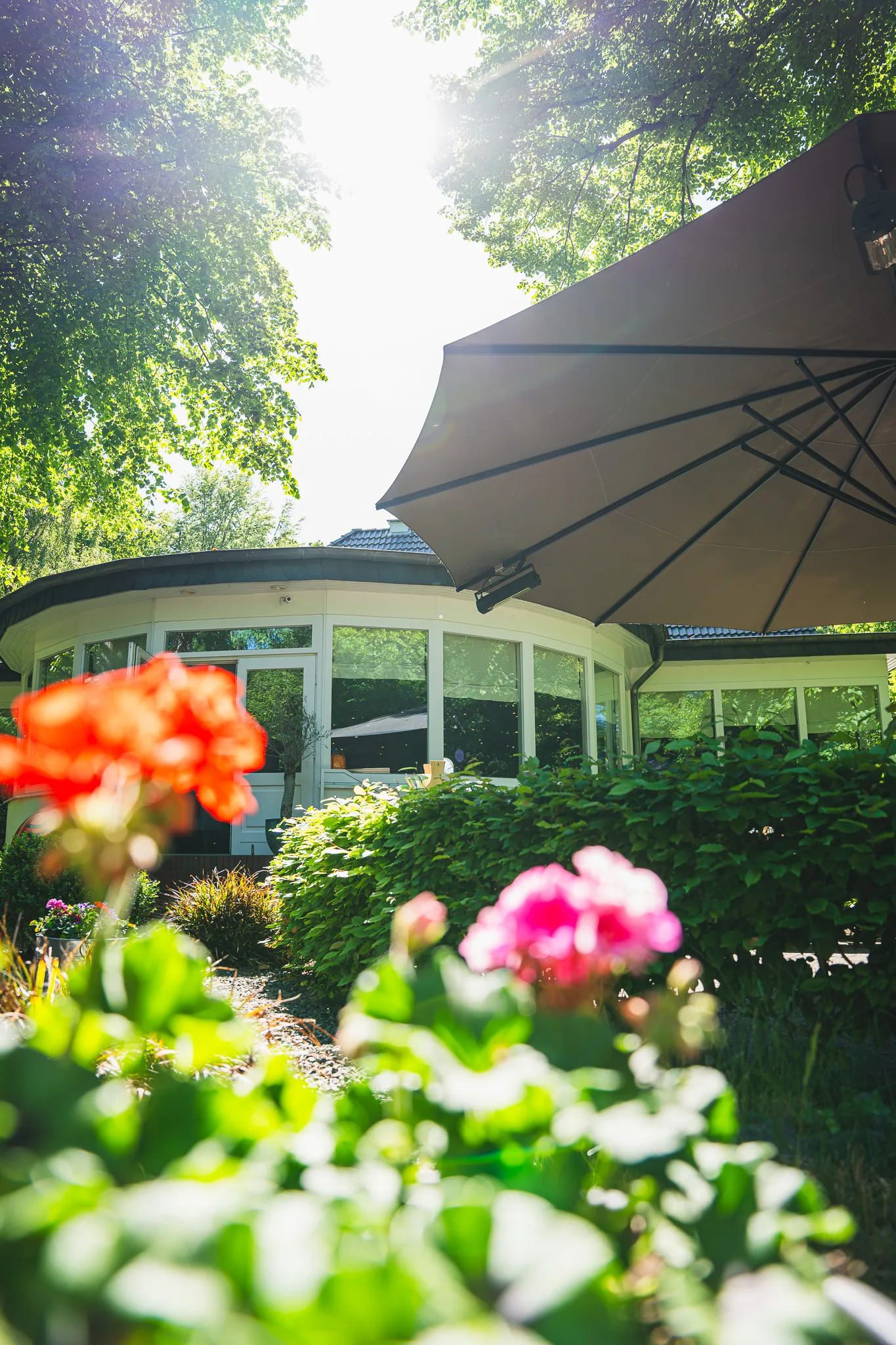 Blick über blühende Geranien auf das Restaurant mit aufgespanntem Sonnenschirm.